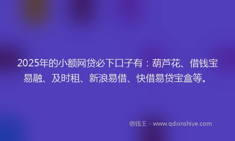 2025年的小额网贷必下口子有：葫芦花、借钱宝易融、及时租、新浪易借、快借易贷宝盒等。