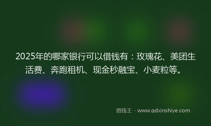 2025年的哪家银行可以借钱有：玫瑰花、美团生活费、奔跑租机、现金秒融宝、小麦粒等。