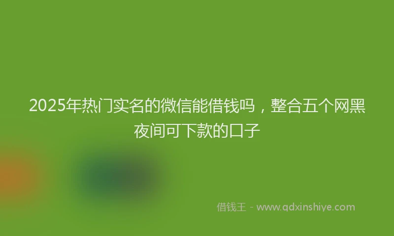 2025年热门实名的微信能借钱吗，整合五个网黑夜间可下款的口子