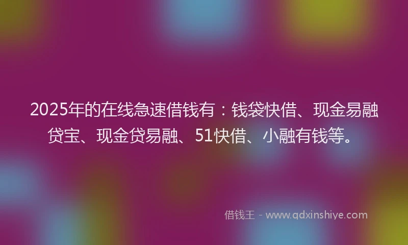 2025年的在线急速借钱有：钱袋快借、现金易融贷宝、现金贷易融、51快借、小融有钱等。