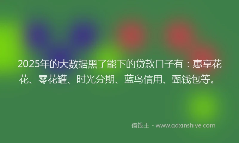 2025年的大数据黑了能下的贷款口子有：惠享花花、零花罐、时光分期、蓝鸟信用、甄钱包等。