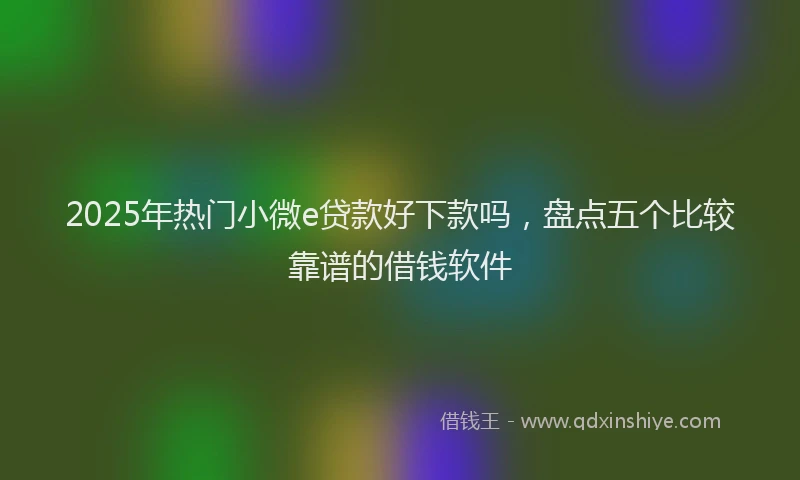 2025年热门小微e贷款好下款吗，盘点五个比较靠谱的借钱软件