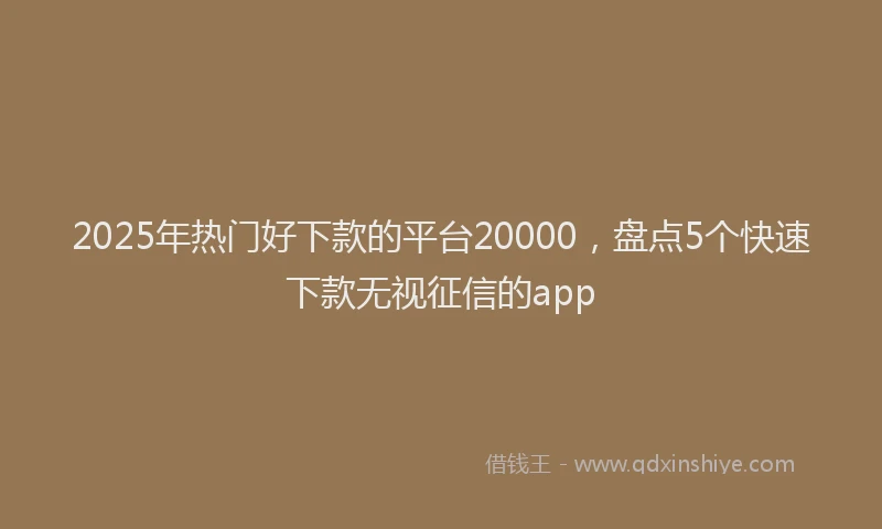 2025年热门好下款的平台20000，盘点5个快速下款无视征信的app