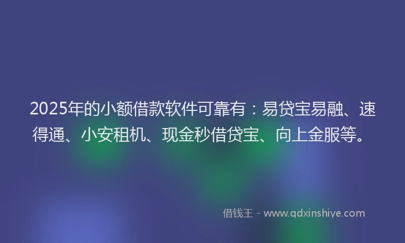 2025年的小额借款软件可靠有：易贷宝易融、速得通、小安租机、现金秒借贷宝、向上金服等。