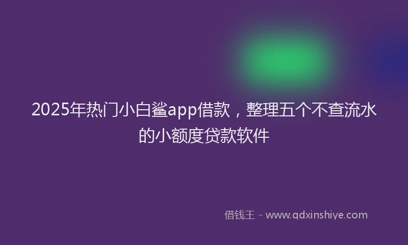 2025年热门小白鲨app借款，整理五个不查流水的小额度贷款软件