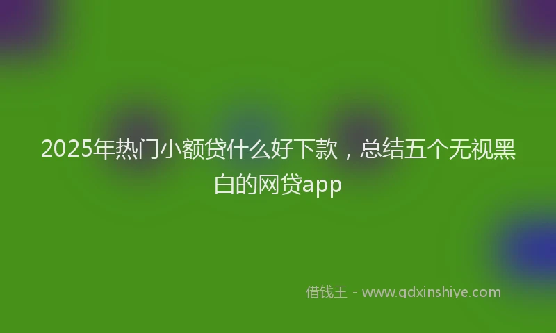 2025年热门小额贷什么好下款，总结五个无视黑白的网贷app
