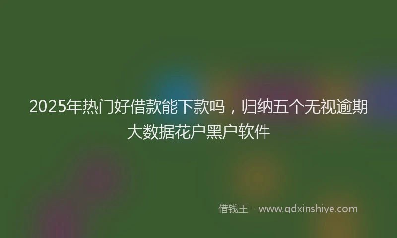 2025年热门好借款能下款吗，归纳五个无视逾期大数据花户黑户软件