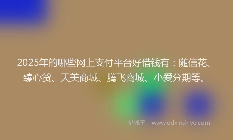 2025年的哪些网上支付平台好借钱有：随信花、臻心贷、天美商城、腾飞商城、小爱分期等。