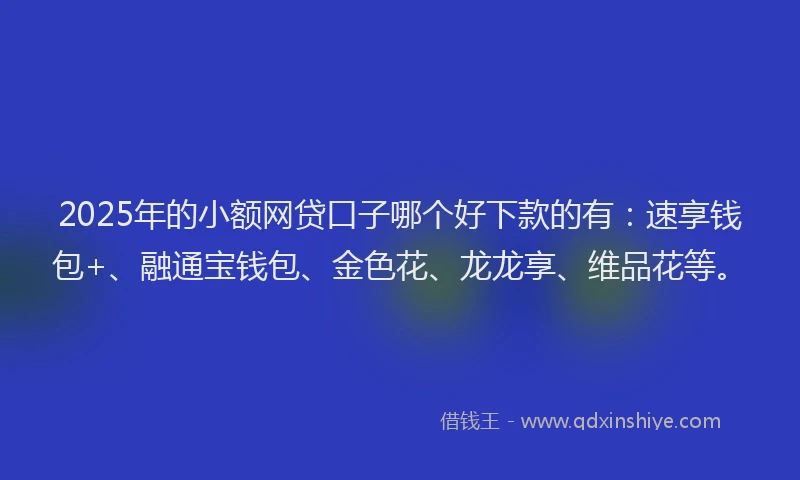 2025年的小额网贷口子哪个好下款的有：速享钱包+、融通宝钱包、金色花、龙龙享、维品花等。