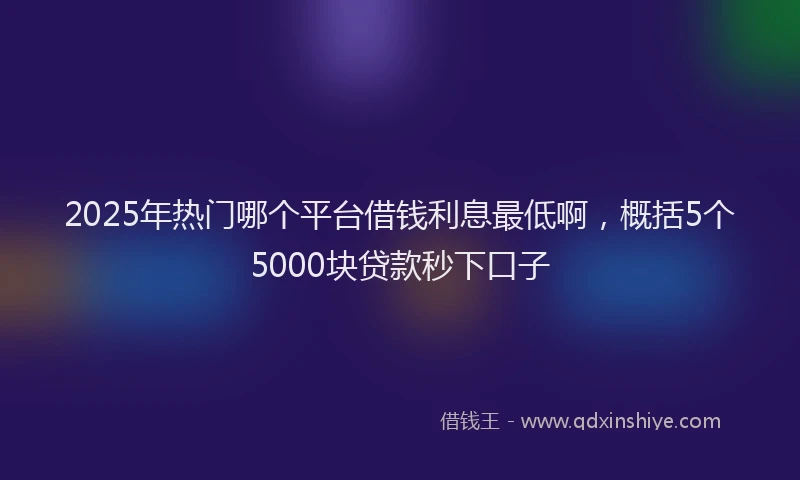 2025年热门哪个平台借钱利息最低啊，概括5个5000块贷款秒下口子