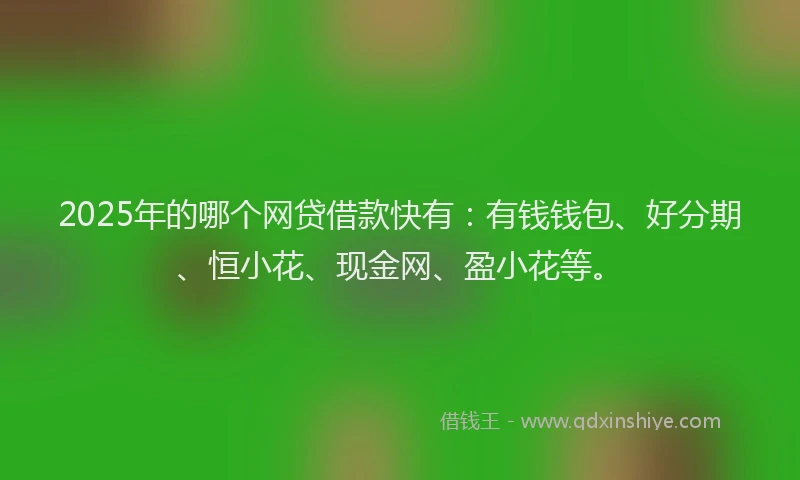 2025年的哪个网贷借款快有：有钱钱包、好分期、恒小花、现金网、盈小花等。