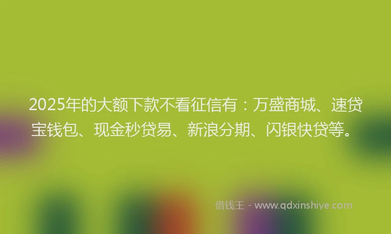 2025年的大额下款不看征信有：万盛商城、速贷宝钱包、现金秒贷易、新浪分期、闪银快贷等。