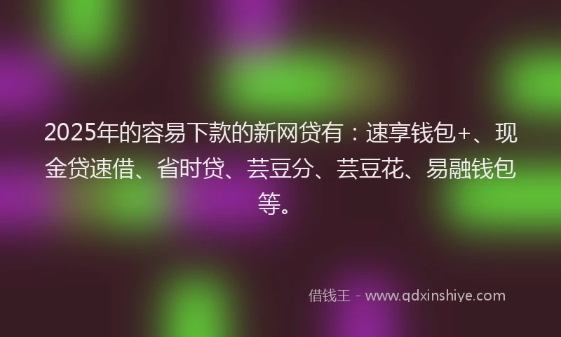 2025年的容易下款的新网贷有：速享钱包+、现金贷速借、省时贷、芸豆分、芸豆花、易融钱包等。