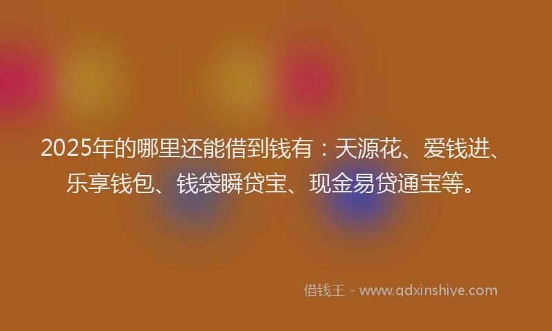 2025年的哪里还能借到钱有：天源花、爱钱进、乐享钱包、钱袋瞬贷宝、现金易贷通宝等。