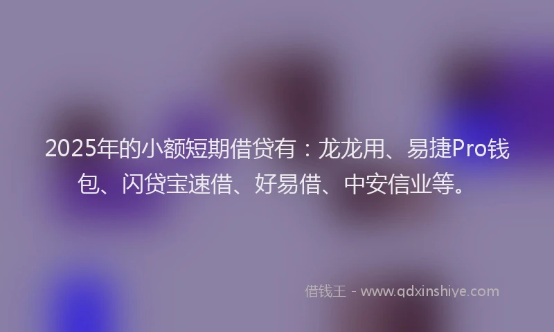 2025年的小额短期借贷有：龙龙用、易捷Pro钱包、闪贷宝速借、好易借、中安信业等。