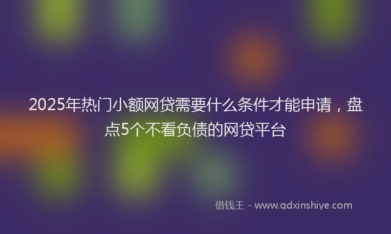 2025年热门小额网贷需要什么条件才能申请，盘点5个不看负债的网贷平台