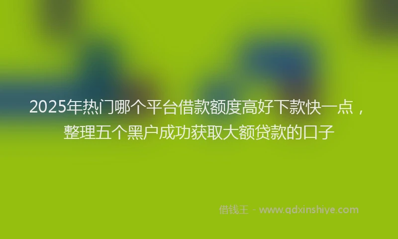 2025年热门哪个平台借款额度高好下款快一点，整理五个黑户成功获取大额贷款的口子