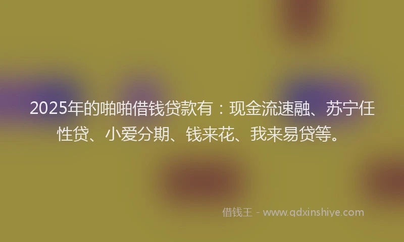 2025年的啪啪借钱贷款有：现金流速融、苏宁任性贷、小爱分期、钱来花、我来易贷等。