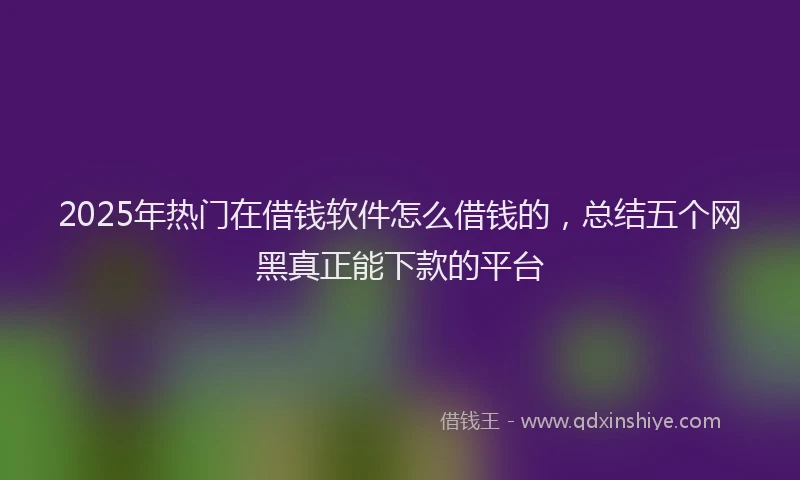 2025年热门在借钱软件怎么借钱的，总结五个网黑真正能下款的平台