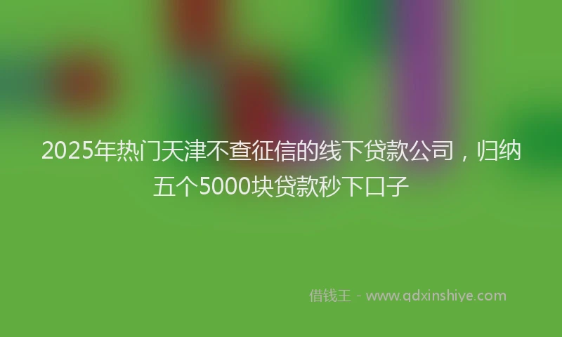 2025年热门天津不查征信的线下贷款公司，归纳五个5000块贷款秒下口子