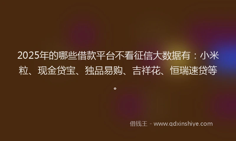 2025年的哪些借款平台不看征信大数据有：小米粒、现金贷宝、独品易购、吉祥花、恒瑞速贷等。