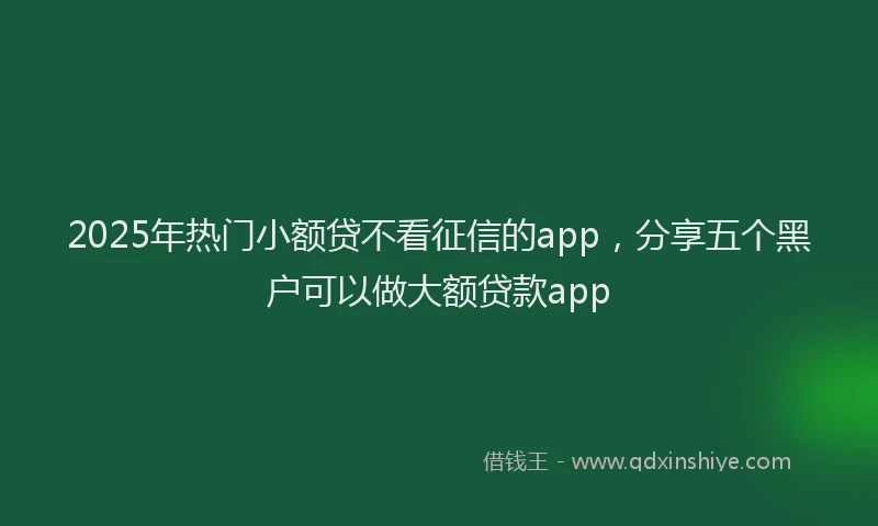 2025年热门小额贷不看征信的app，分享五个黑户可以做大额贷款app