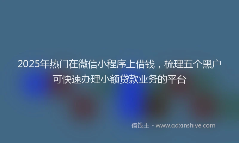 2025年热门在微信小程序上借钱，梳理五个黑户可快速办理小额贷款业务的平台