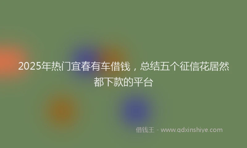 2025年热门宜春有车借钱，总结五个征信花居然都下款的平台