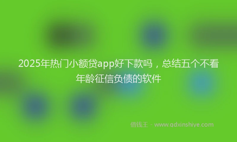 2025年热门小额贷app好下款吗，总结五个不看年龄征信负债的软件
