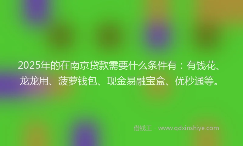 2025年的在南京贷款需要什么条件有：有钱花、龙龙用、菠萝钱包、现金易融宝盒、优秒通等。