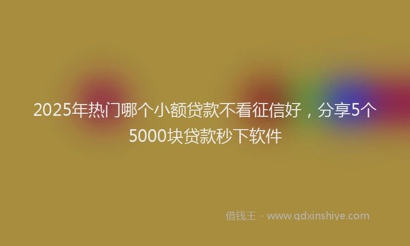 2025年热门哪个小额贷款不看征信好，分享5个5000块贷款秒下软件