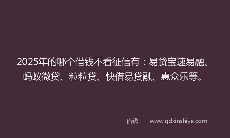 2025年的哪个借钱不看征信有：易贷宝速易融、蚂蚁微贷、粒粒贷、快借易贷融、惠众乐等。
