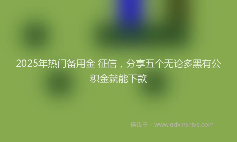 2025年热门备用金 征信，分享五个无论多黑有公积金就能下款