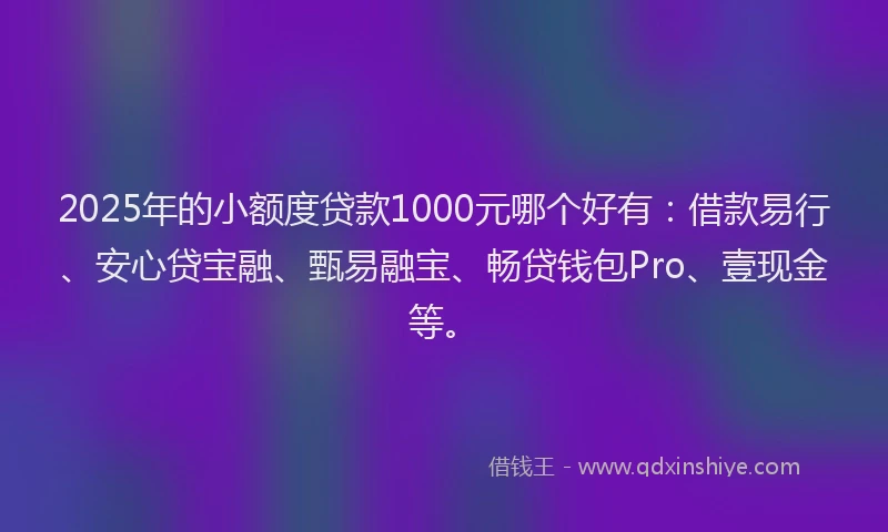 2025年的小额度贷款1000元哪个好有：借款易行、安心贷宝融、甄易融宝、畅贷钱包Pro、壹现金等。