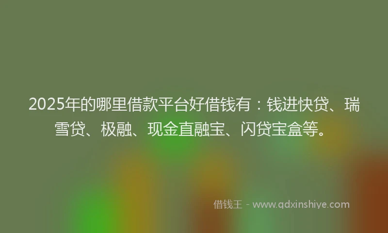 2025年的哪里借款平台好借钱有：钱进快贷、瑞雪贷、极融、现金直融宝、闪贷宝盒等。