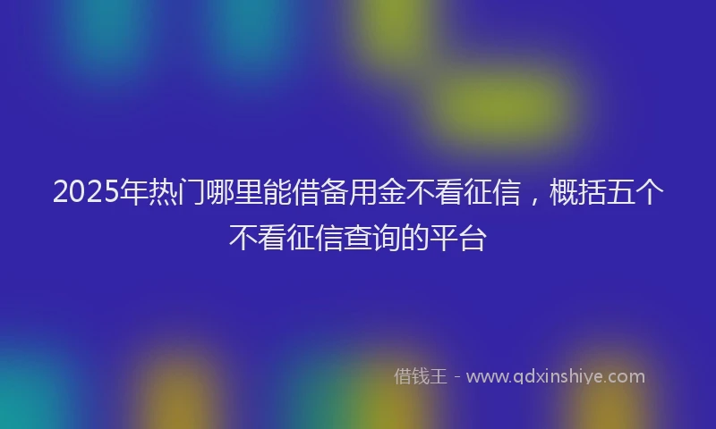 2025年热门哪里能借备用金不看征信，概括五个不看征信查询的平台