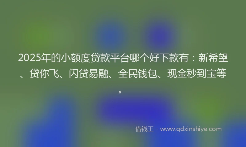 2025年的小额度贷款平台哪个好下款有：新希望、贷你飞、闪贷易融、全民钱包、现金秒到宝等。