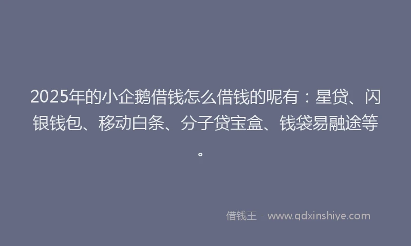 2025年的小企鹅借钱怎么借钱的呢有：星贷、闪银钱包、移动白条、分子贷宝盒、钱袋易融途等。