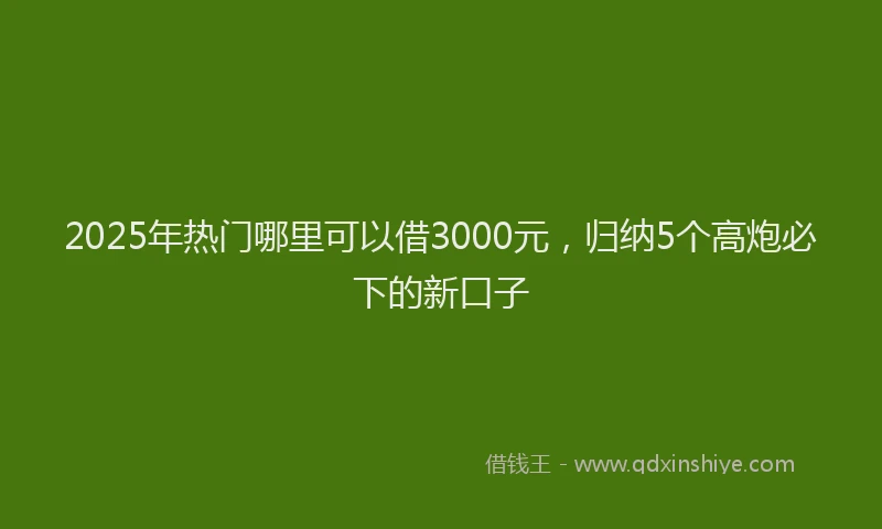 2025年热门哪里可以借3000元，归纳5个高炮必下的新口子