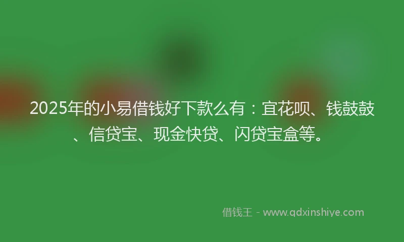 2025年的小易借钱好下款么有：宜花呗、钱鼓鼓、信贷宝、现金快贷、闪贷宝盒等。