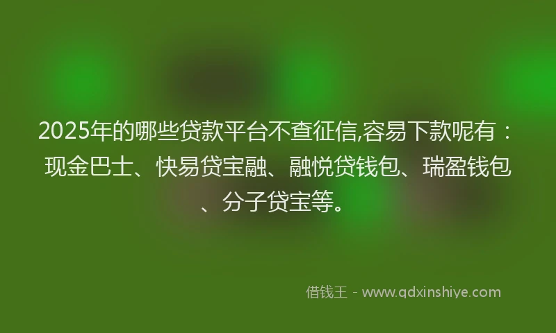 2025年的哪些贷款平台不查征信,容易下款呢有：现金巴士、快易贷宝融、融悦贷钱包、瑞盈钱包、分子贷宝等。