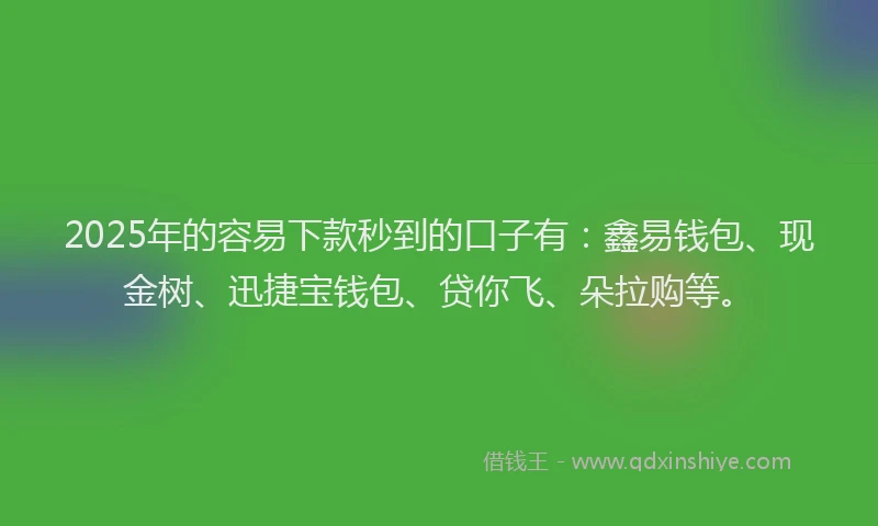 2025年的容易下款秒到的口子有：鑫易钱包、现金树、迅捷宝钱包、贷你飞、朵拉购等。