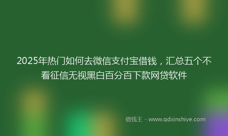 2025年热门如何去微信支付宝借钱，汇总五个不看征信无视黑白百分百下款网贷软件