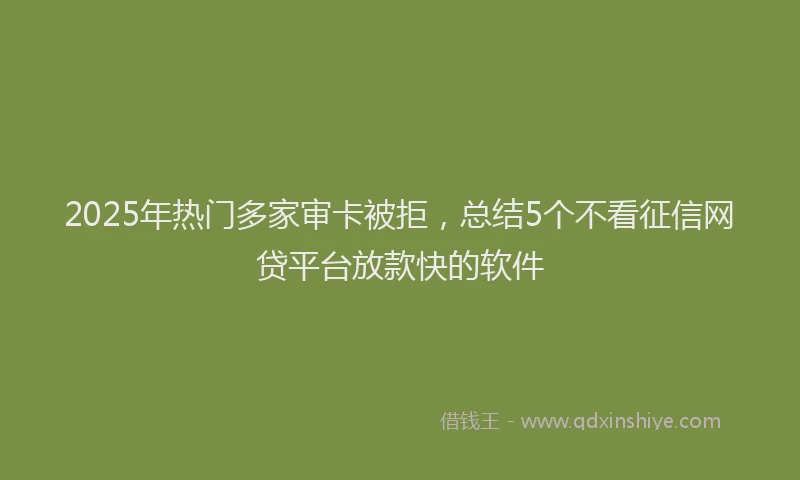 2025年热门多家审卡被拒，总结5个不看征信网贷平台放款快的软件