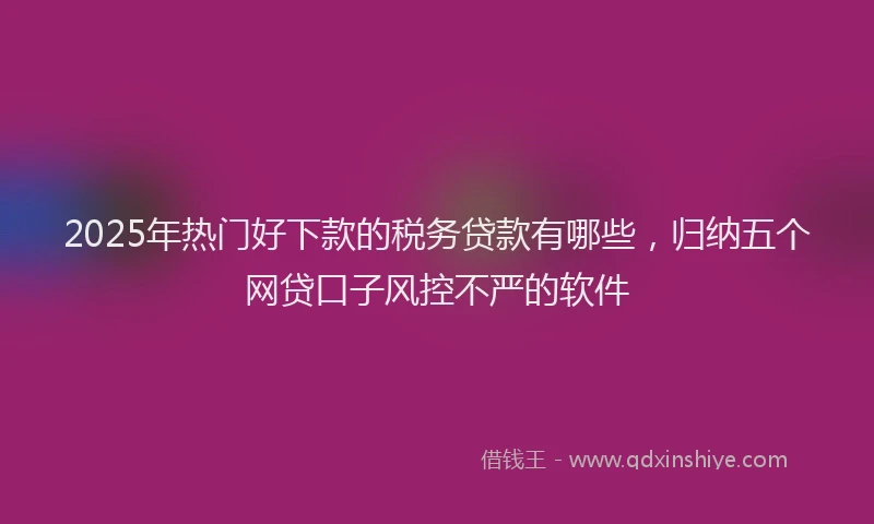 2025年热门好下款的税务贷款有哪些，归纳五个网贷口子风控不严的软件