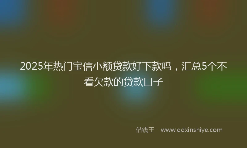 2025年热门宝信小额贷款好下款吗，汇总5个不看欠款的贷款口子
