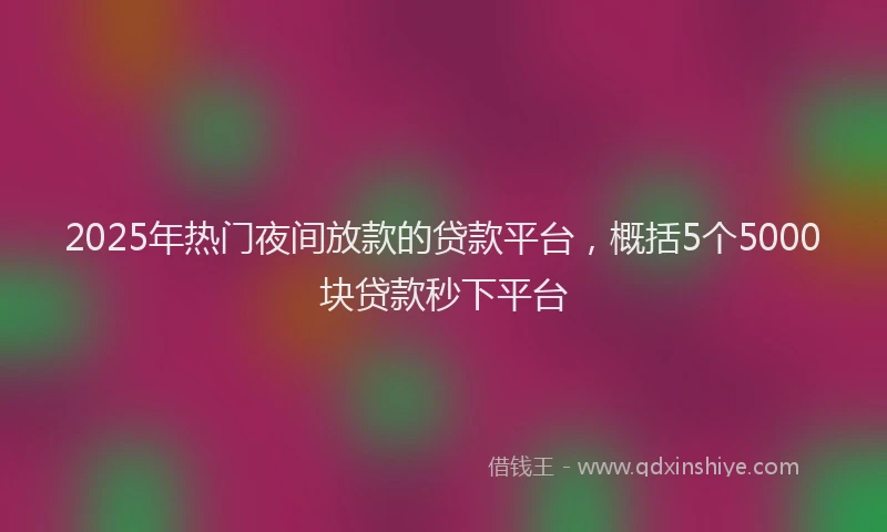 2025年热门夜间放款的贷款平台，概括5个5000块贷款秒下平台