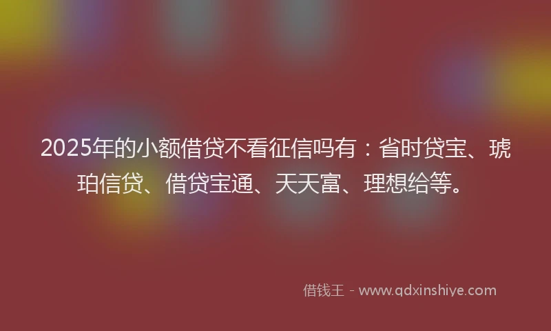 2025年的小额借贷不看征信吗有：省时贷宝、琥珀信贷、借贷宝通、天天富、理想给等。