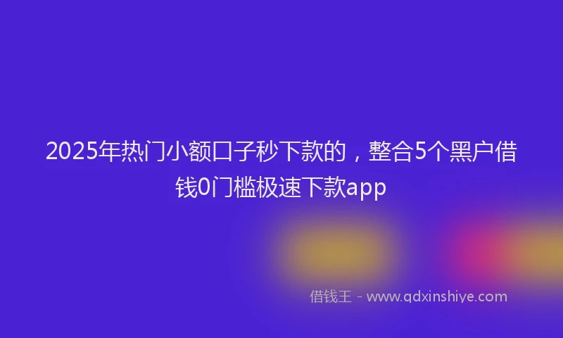 2025年热门小额口子秒下款的，整合5个黑户借钱0门槛极速下款app