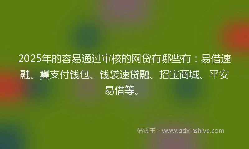 2025年的容易通过审核的网贷有哪些有：易借速融、翼支付钱包、钱袋速贷融、招宝商城、平安易借等。